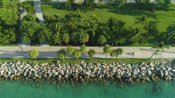 Sud pointe parc à Miami plage à ensoleillé journée. aérien voir. uni États de Amérique video