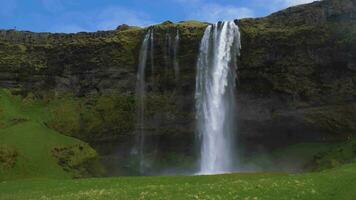 Seljalandsfoss vattenfall och grön landskap på sommar solig dag. island video