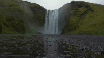 skogafoss vattenfall och grön landskap på sommar dag. island video