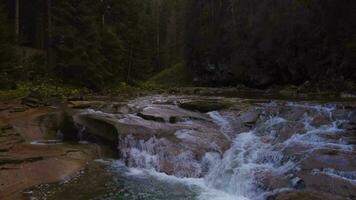 Berg Fluss mit klar Wasser im das Karpaten im Ukraine im das Abend im ein tief felsig Wald. Vogel Auge Aussicht von ein wild Fluss mit Steine unter Bäume im das Wald. video