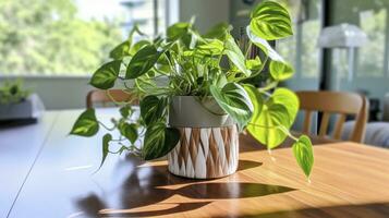 Philodendron on a table. AI Generated photo