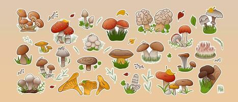 Vector set stickers forest mushrooms. Collection different types mushrooms edible and inedible.