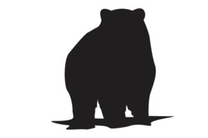 Pose von Bär Silhouette mit transparent Hintergrund png