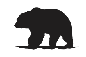 Pose of Bear Silhouette with Transparent Background png