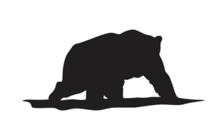 Pose von Bär Silhouette mit transparent Hintergrund png