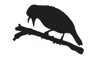 Pose von ein Vogel thront auf ein Zweig Silhouette mit ein transparent Hintergrund png