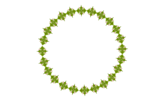 cirkel monogram ram gräns med transparent bakgrund png