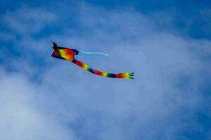 A kite raised in the sky photo