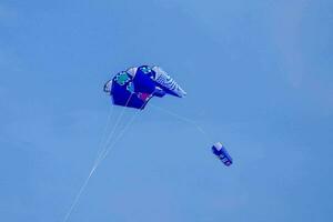 A kite raised in the sky photo