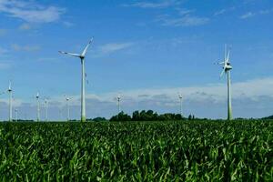 Energy wind turbines photo