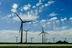 Energy wind turbines photo