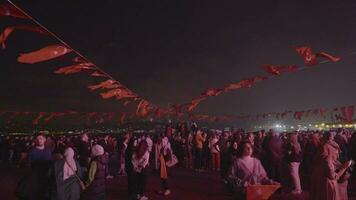 dinde Istanbul 29 e octobre 2023. main en portant turc drapeau fête 100 ans anniversaire comme une république. video