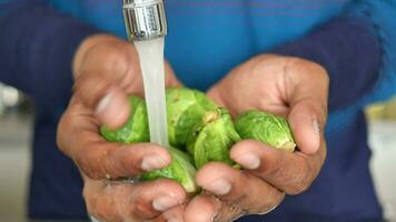 kvinnor hand tvätta de grön rå bryssel groddar i en handfat video