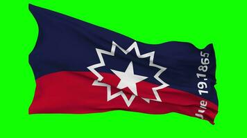 Juneteenth Flag Waving Seamless Loop in Wind, Chroma Key Green Screen, Luma Matte Selection video