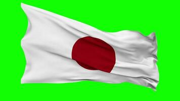 Japan Flag Waving Seamless Loop in Wind, Chroma Key Green Screen, Luma Matte Selection video