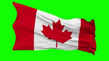 Canada Flag Waving Seamless Loop in Wind, Chroma Key Green Screen, Luma Matte Selection video