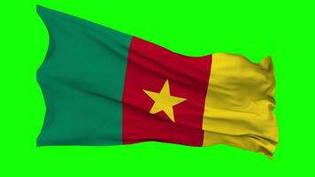 Cameroon Flag Waving Seamless Loop in Wind, Chroma Key Green Screen, Luma Matte Selection video