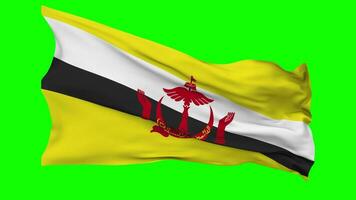 Brunei Flag Waving Seamless Loop in Wind, Chroma Key Green Screen, Luma Matte Selection video