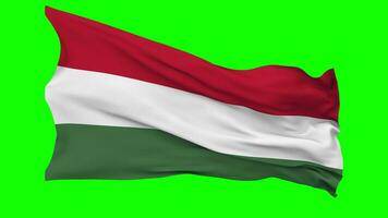 Hongarije vlag golvend naadloos lus in wind, chroma sleutel groen scherm, luma matte selectie video