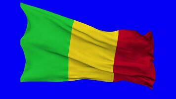 Mali Flag Waving Seamless Loop in Wind, Chroma Key Green Screen, Luma Matte Selection video