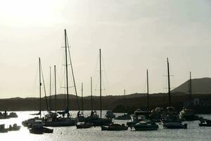 Boats in the harbor photo