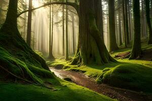 un bosque con cubierto de musgo arboles y luz de sol. generado por ai foto