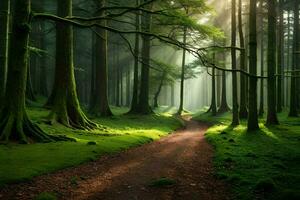 un camino mediante un verde bosque con arboles y rayos de sol generado por ai foto