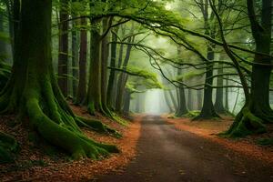 un camino mediante un bosque con arboles y niebla. generado por ai foto