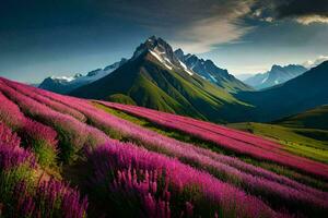 the lavender fields of the alps. AI-Generated photo