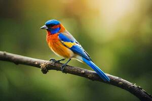 a colorful bird sits on a branch. AI-Generated photo