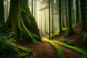 un camino mediante un bosque con cubierto de musgo arboles generado por ai foto