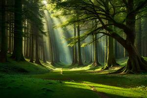 un camino mediante un bosque con rayos de sol brillante mediante el arboles generado por ai foto