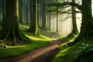 a path through a forest with trees and moss. AI-Generated photo