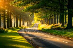 a road in the forest with trees and sun. AI-Generated photo