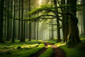 a path through a forest with trees and grass. AI-Generated photo