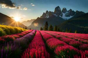 the sun rises over a field of lavender flowers in the mountains. AI-Generated photo