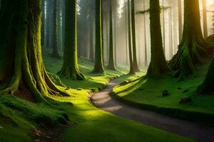 un camino mediante un bosque con alto arboles generado por ai foto