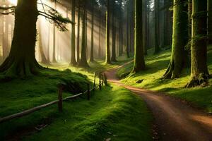 un camino mediante un bosque con arboles y rayos de sol generado por ai foto