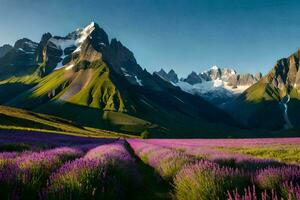 the lavender field in the mountains. AI-Generated photo