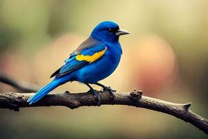 a blue bird with yellow and black feathers sitting on a branch. AI-Generated photo