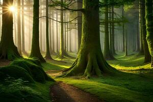 a path through a forest with trees and grass. AI-Generated photo