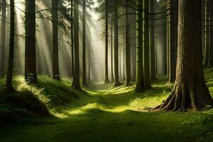 un bosque con rayos de sol brillante mediante el arboles generado por ai foto