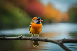 a colorful bird sits on a branch near water. AI-Generated photo