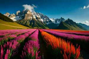 un campo de púrpura flores y montañas. generado por ai foto