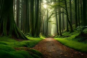 a path through a green forest with trees and moss. AI-Generated photo