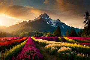 un hermosa campo de flores y montañas a puesta de sol. generado por ai foto