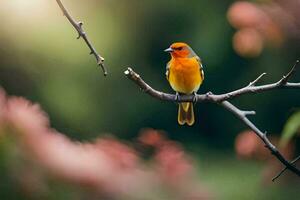 un pequeño naranja pájaro es sentado en un rama. generado por ai foto