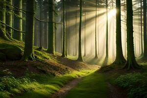 a path through a forest with sunbeams shining through the trees. AI-Generated photo