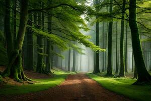a path through a green forest with trees. AI-Generated photo