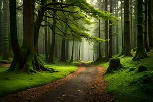 un camino mediante un verde bosque con arboles y césped. generado por ai foto